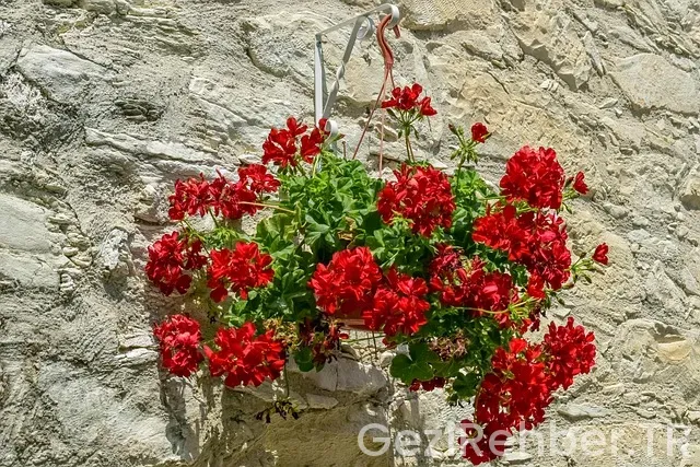 Agios İsidoros Plajı