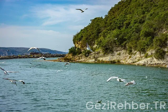 Ağva Gezilecek Yerler Ağva Gezilecek Yerler