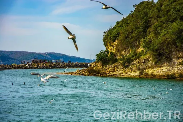 Ağva Gezilecek Yerler Ağva Gezilecek Yerler