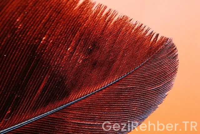 Akdeniz bölgesi gezilecek yerler Akdeniz bölgesi gezilecek yerler