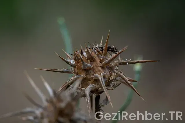 Akdeniz tatil rehberi Akdeniz tatil rehberi