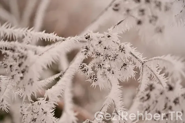 Akdeniz üniversitesi