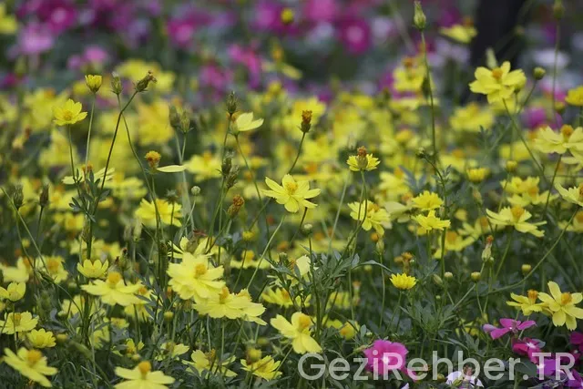 Akdeniz'de gezilecek en güzel yerler Akdeniz'de gezilecek en güzel yerler