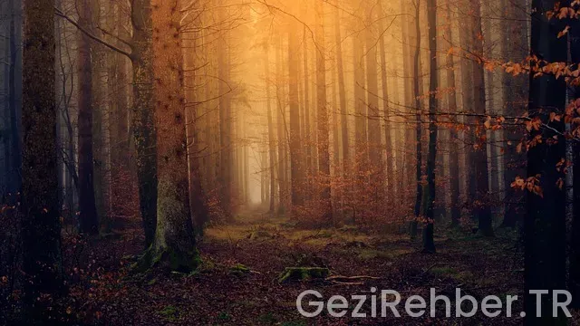 Akdeniz'de gezintiler