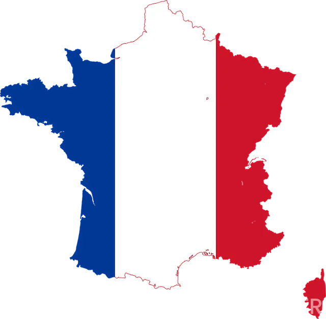 Almanya Fransa Ortak Açıklama Gezi