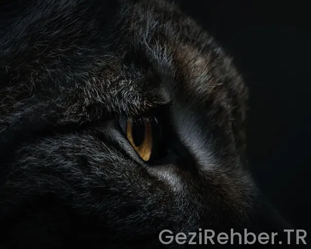 Almanya Gezi Haritası