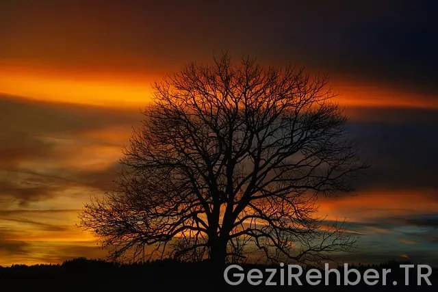 Almanya Gezi Rotası