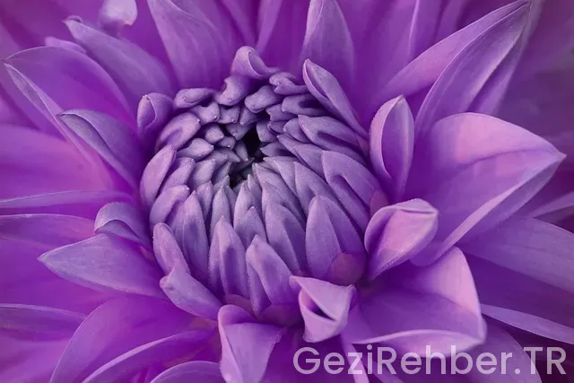 Almanya uçakla kaç saat