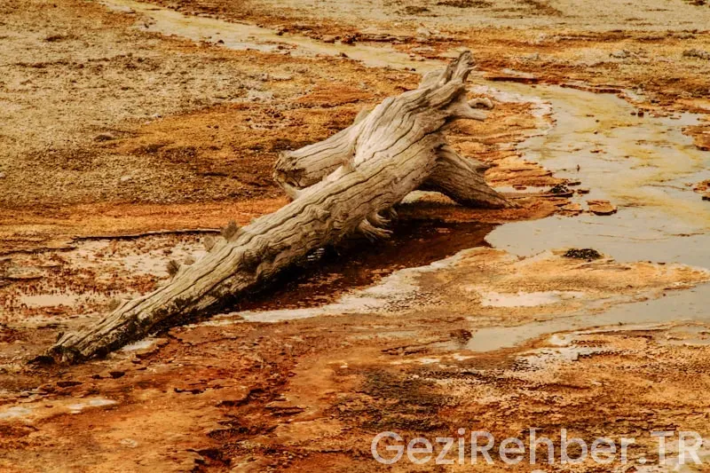 Alternatif Gezi Rotası Güney Amerika