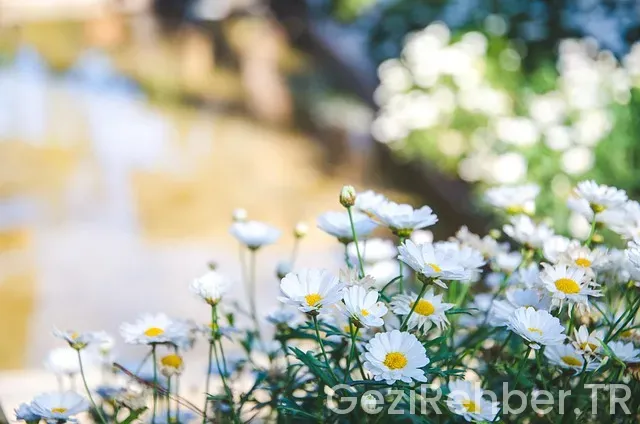 Amasya da Gezilecek Yerler