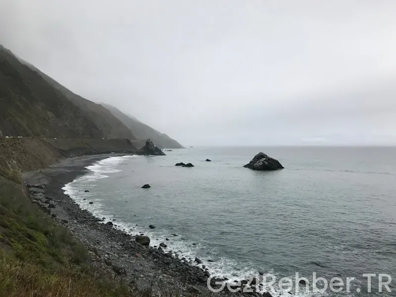 Amerika batı kıyısı