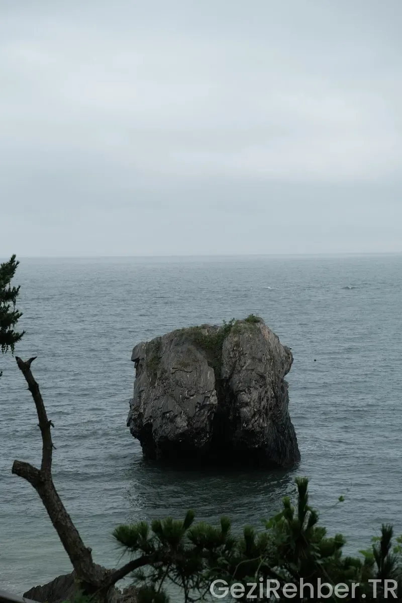 Amerika batı kıyısı