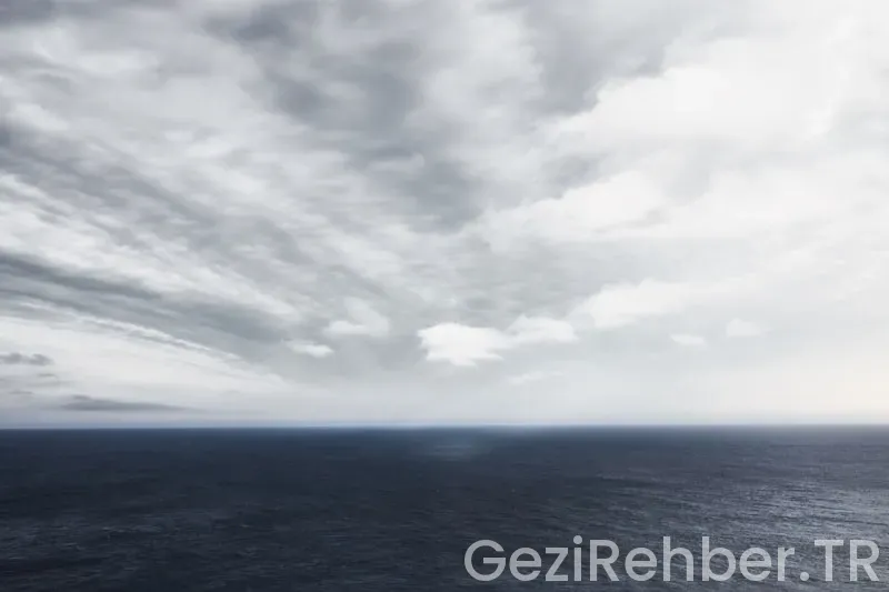 Amerika batı kıyısı