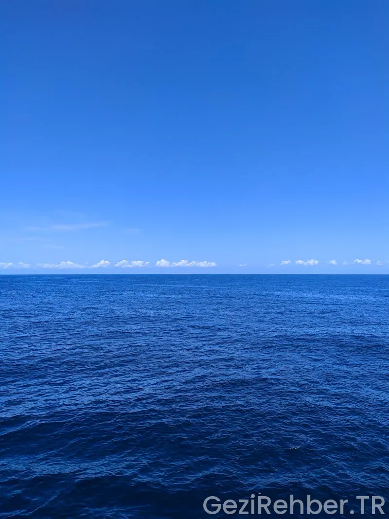 Amerika batı kıyısı