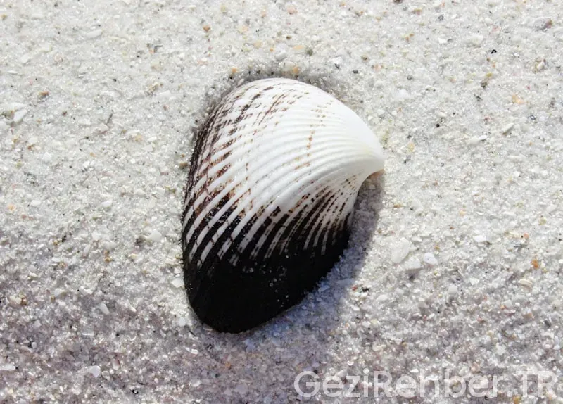 Amerika florida ile türkiye saat farkı