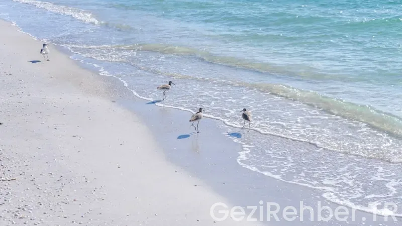 Amerika florida ile türkiye saat farkı