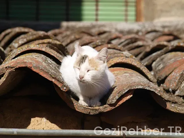 Amerika hakkında ilginç bilgiler gezi Amerika hakkında ilginç bilgiler gezi
