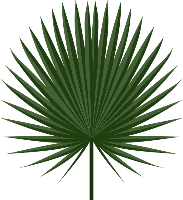 Amerika içi gezi turları