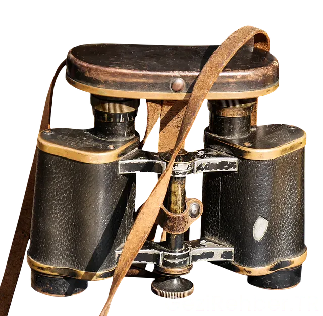 Amerika ikinci el gezi tekne fiyatları