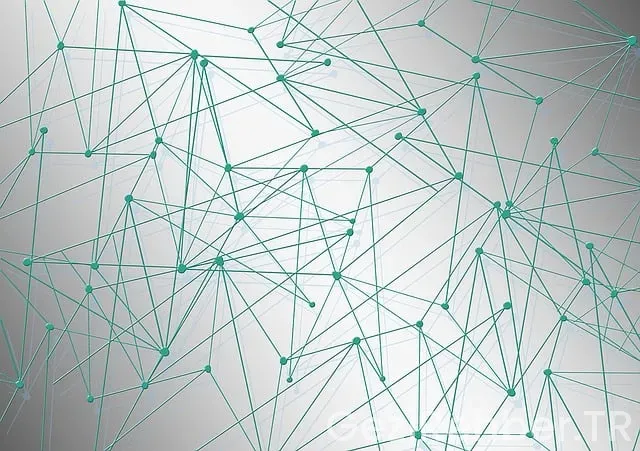 Amerika ile ilgili gezi kitaplar