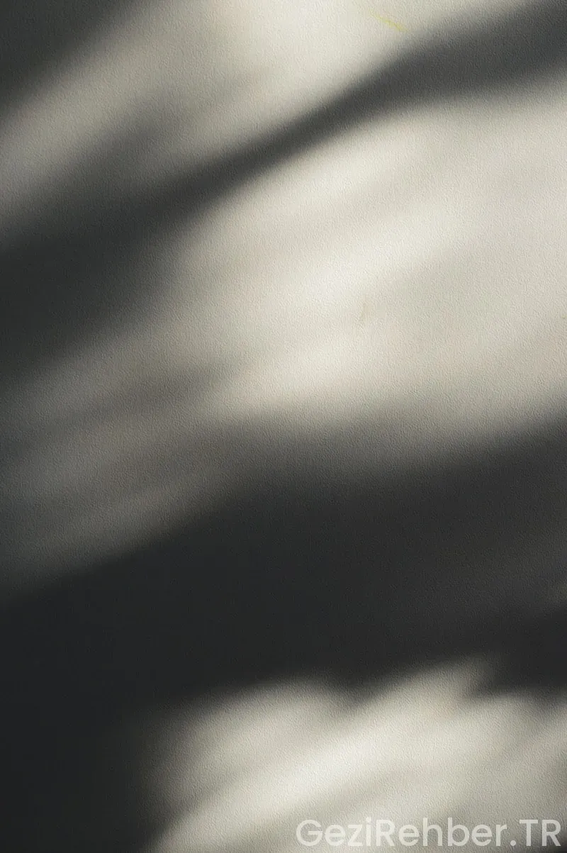 Amerika kıtası keşif