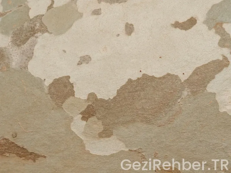 Amerika kıtası nezaman keşfedildi Amerika kıtası nezaman keşfedildi