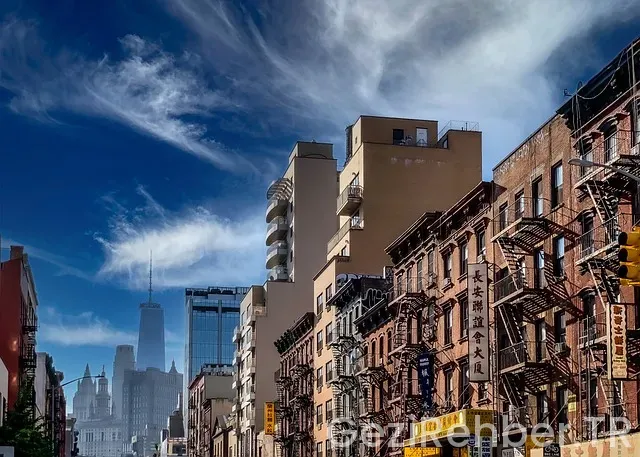 Amerika kötasi gezi