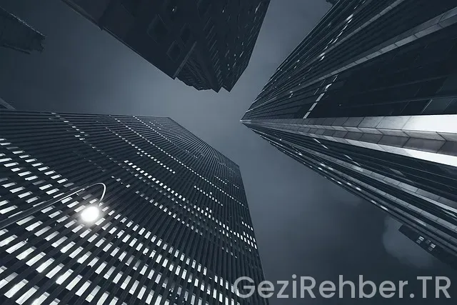 Amerika sanal gezinti