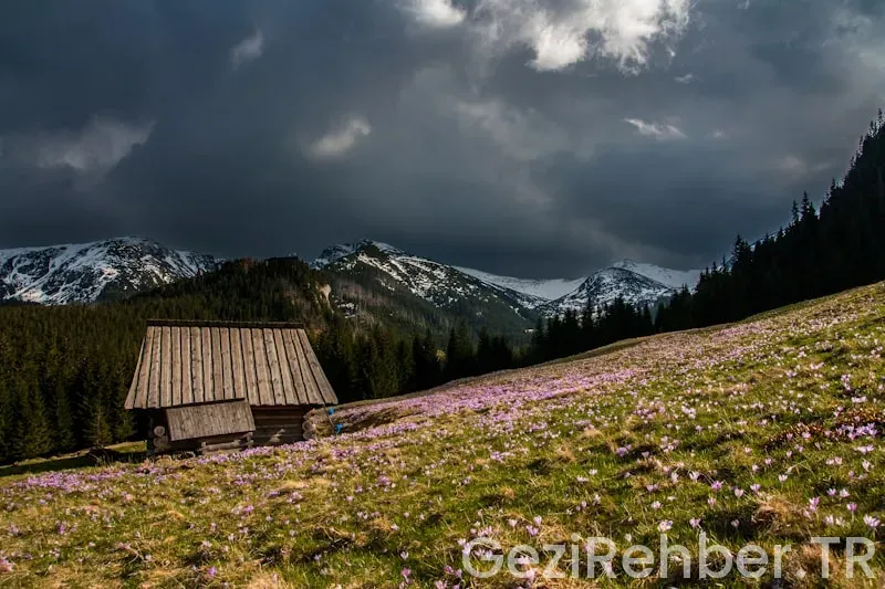 Amerika teksas ile türkiye arasındaki saat farkı