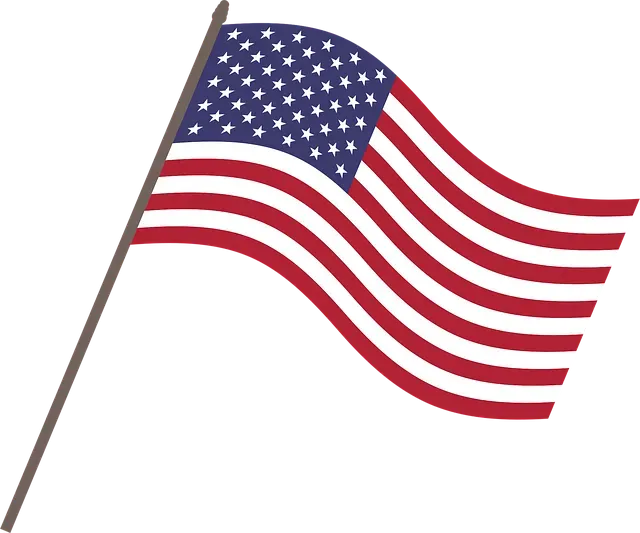 Amerika Vizesi Başvuru Süreci Nasıl Olur