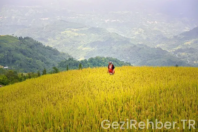 Amerika Vizesi Başvuru Süreci Nasıl Olur