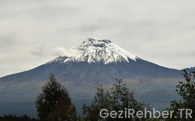 Amerika Ziyaretçi Vizesine Başvuracak İşverenler İçin Gerekli Ek Evraklar Nelerdir Amerika Ziyaretçi Vizesine Başvuracak İşverenler İçin Gerekli Ek Evraklar Nelerdir