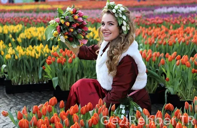 Amsterdam da nerede kalınır Amsterdam da nerede kalınır