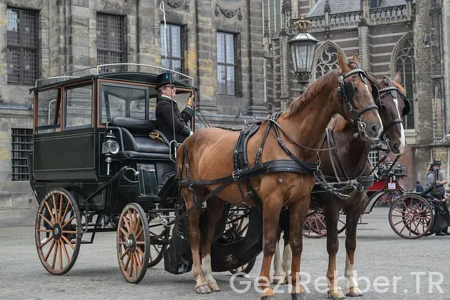 Amsterdam Reiseführer