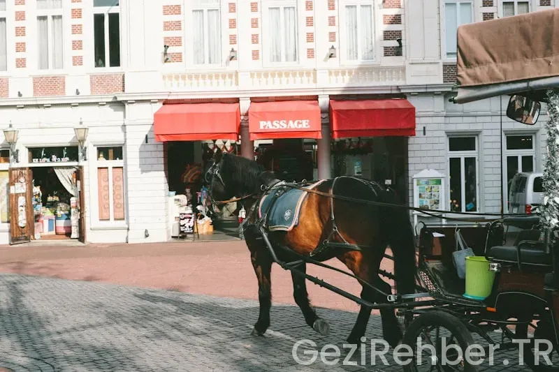 Amsterdam travel guide