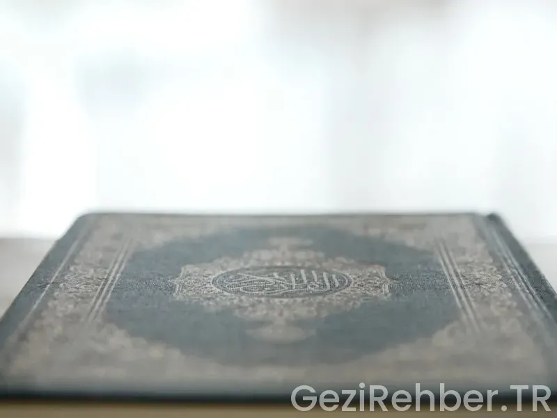 Anadolu gezi programları Anadolu gezi programları