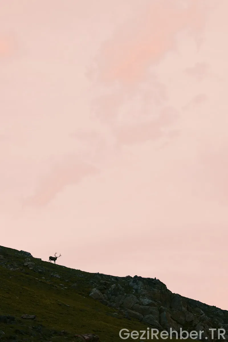 Anadoluhisarı gezilecek yerler