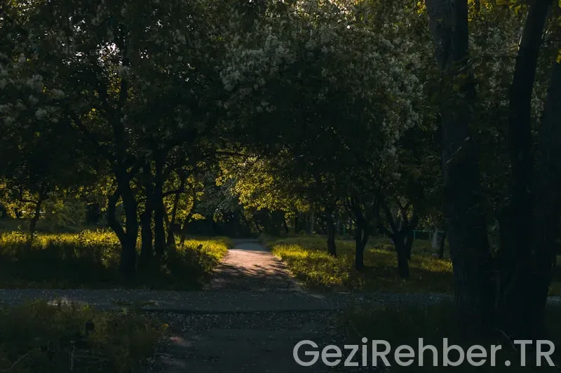 Anadoluhisarı gezilecek yerler