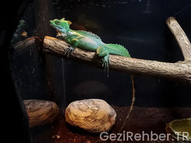 Ankara çıkılı karadeniz gezi planı