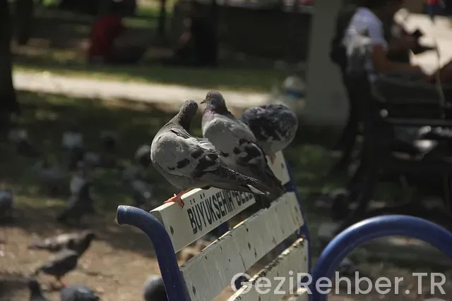 Ankara gezi turları karadeniz