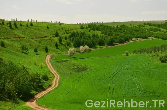 Ankara ığdır uçakla kaç saat Ankara ığdır uçakla kaç saat