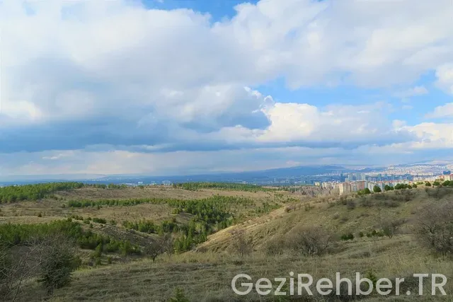 Ankara ordu uçakla kaç saat