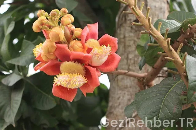 Ankara umre uçakla kaç saat