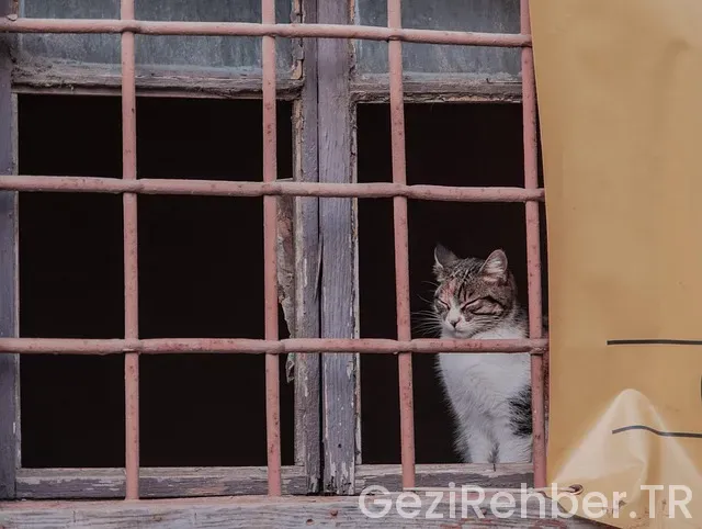 Antalya kaleiçi canlı müzik