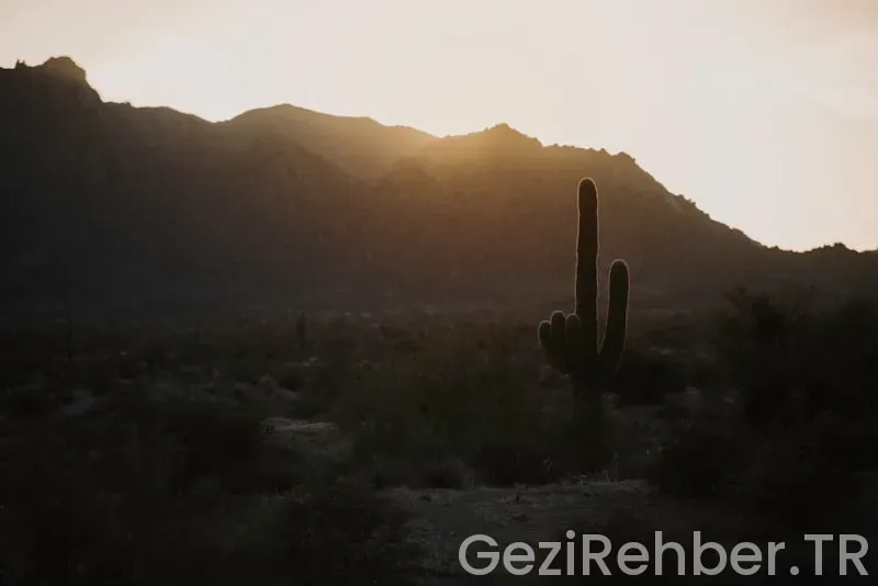Arizona travel guide
