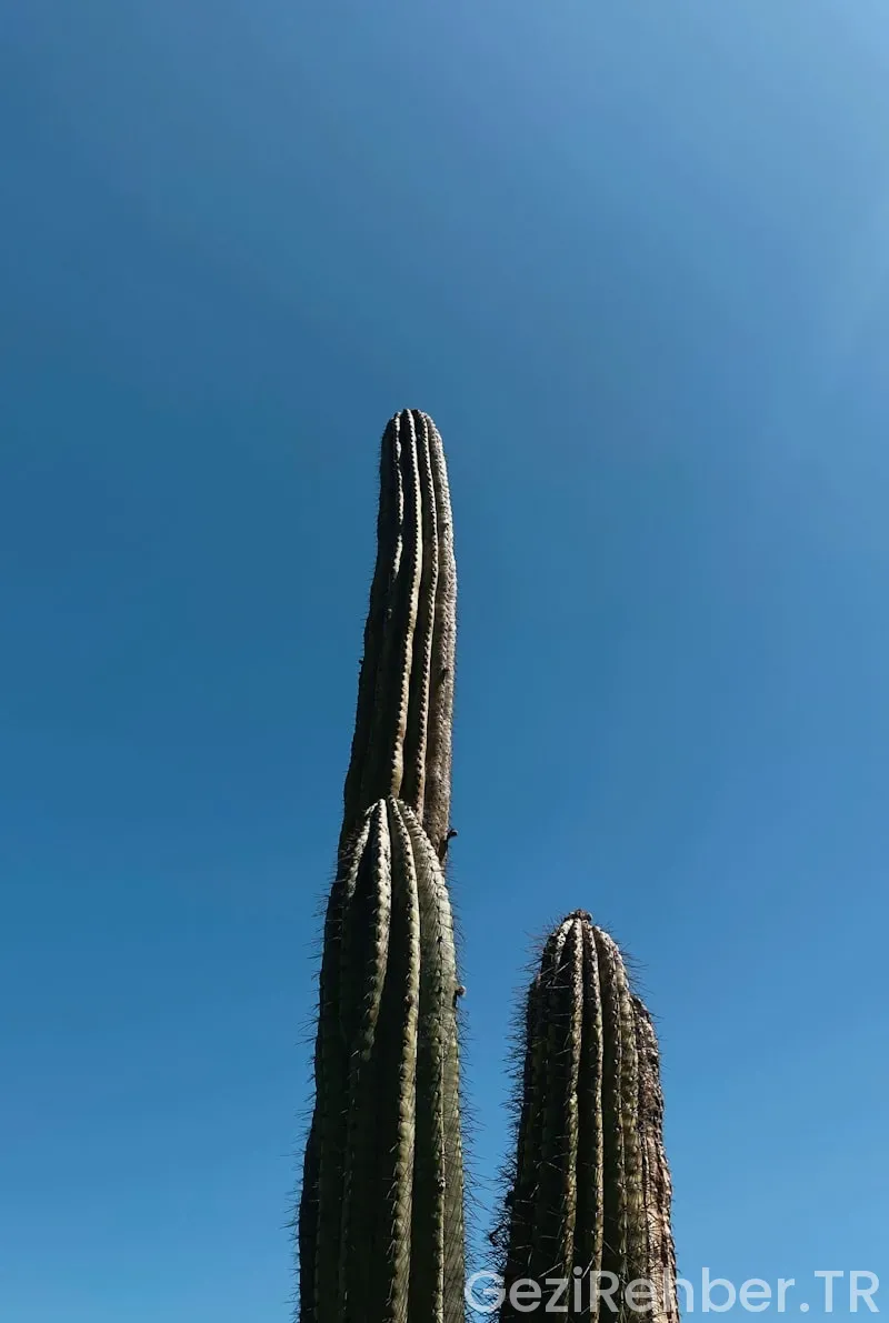 Arizona travel guide