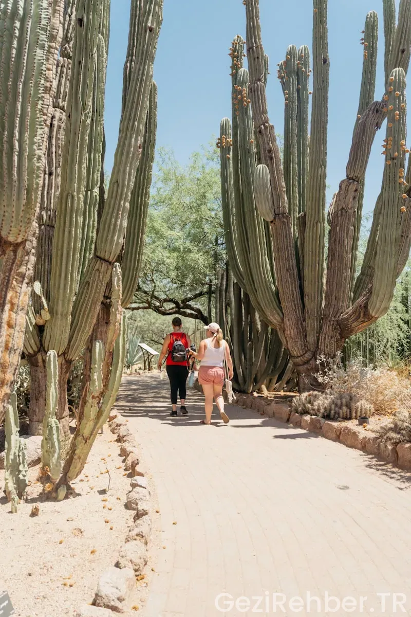 Arizona travel guide