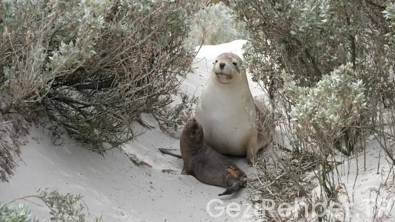 Arjantin türkiye arası saat farkı