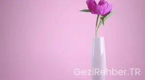 Asya gezilecek yerler