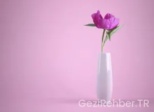 Asya gezilecek yerler